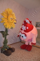 2