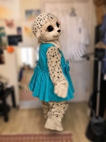 ���� 6